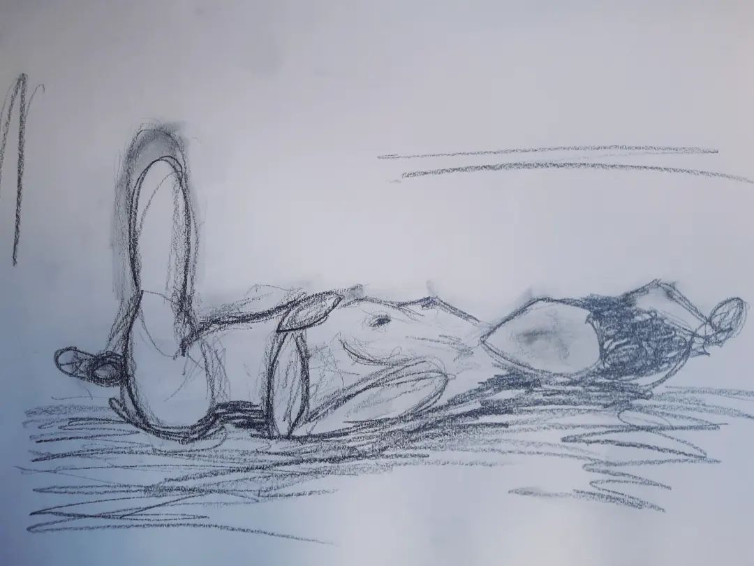 IMG_20230905_194458_873